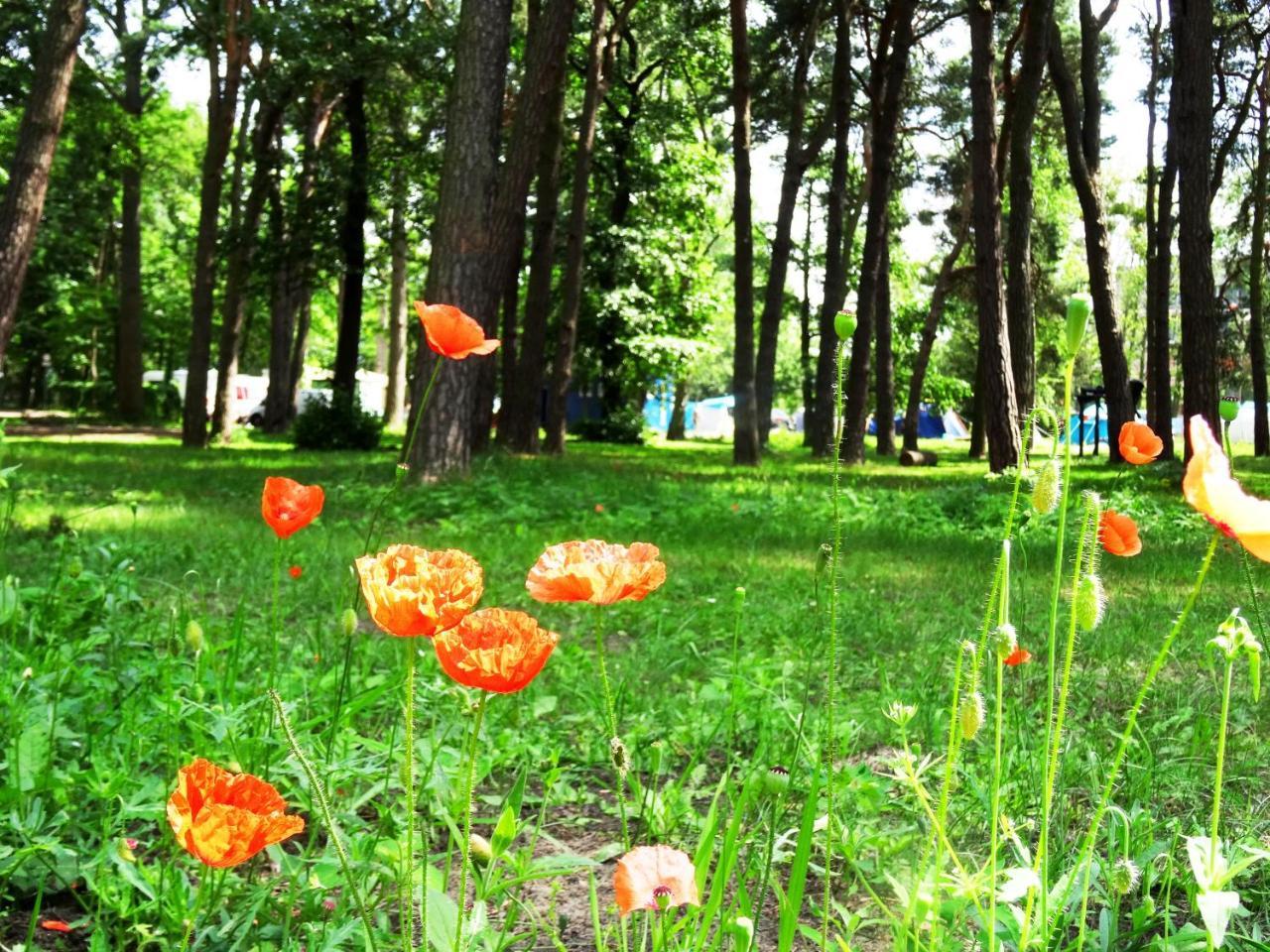 Sopot 34 Przy Plazy 빌라 외부 사진